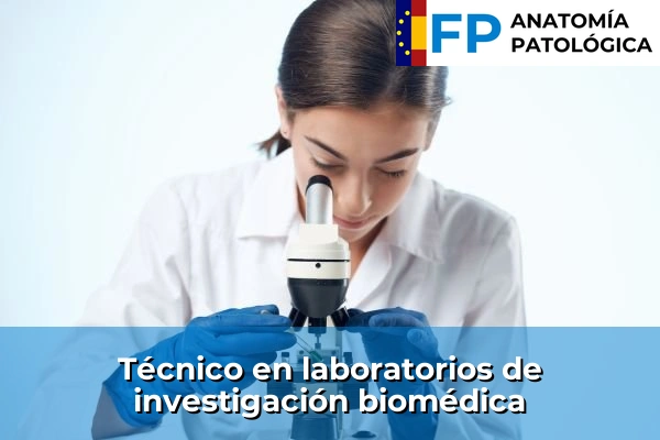 Técnico en laboratorios de investigación biomédica