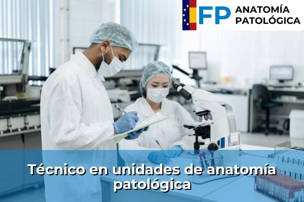 Técnico en unidades de anatomía patológica