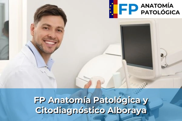 FP Anatomía Patológica y Citodiagnóstico en Valencia 12 FP Anatomía Patológica y Citodiagnóstico en Alboraya