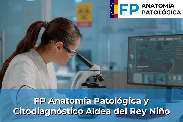 FP Anatomía Patológica y Citodiagnóstico en Ávila 2 FP Anatomía Patológica y Citodiagnóstico en Aldea del Rey Niño