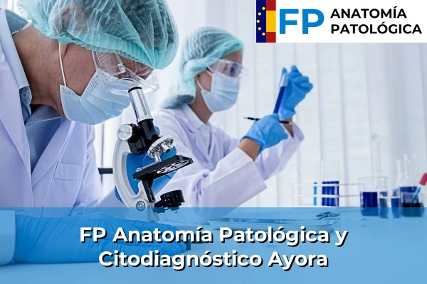 FP Anatomía Patológica y Citodiagnóstico en Valencia 31 FP Anatomía Patológica y Citodiagnóstico en Ayora