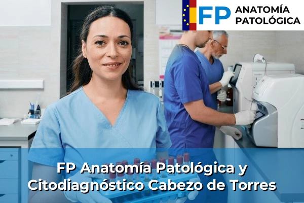 FP Anatomía Patológica y Citodiagnóstico en Murcia 16 FP Anatomía Patológica y Citodiagnóstico en Cabezo de Torres