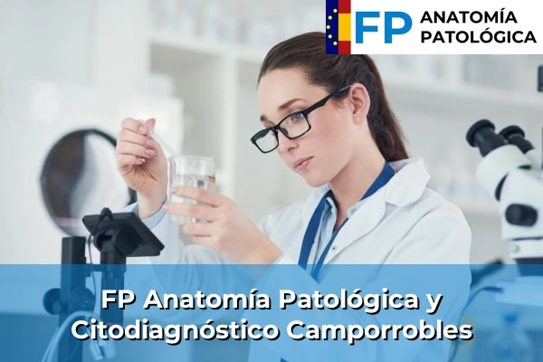 FP Anatomía Patológica y Citodiagnóstico en Valencia 54 FP Anatomía Patológica y Citodiagnóstico en Camporrobles