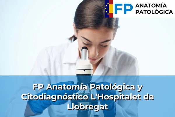 FP Anatomía Patológica y Citodiagnóstico en Barcelona 46 FP Anatomía Patológica y Citodiagnóstico en L'Hospitalet de Llobregat