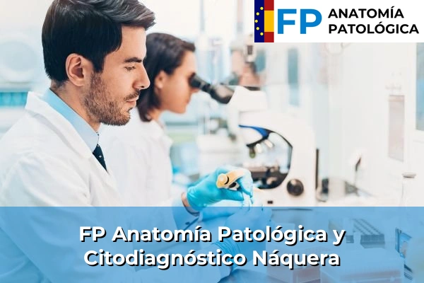 FP Anatomía Patológica y Citodiagnóstico en Valencia 134 FP Anatomía Patológica y Citodiagnóstico en Náquera