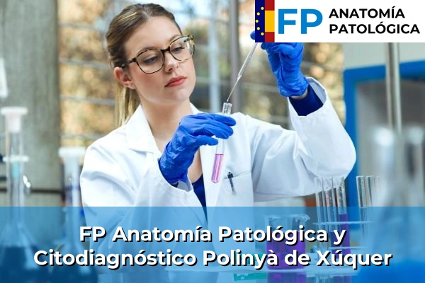 FP Anatomía Patológica y Citodiagnóstico en Valencia 148 FP Anatomía Patológica y Citodiagnóstico en Polinyà de Xúquer
