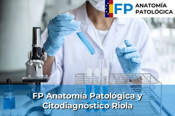 FP Anatomía Patológica y Citodiagnóstico en Valencia 160 FP Anatomía Patológica y Citodiagnóstico en Riola