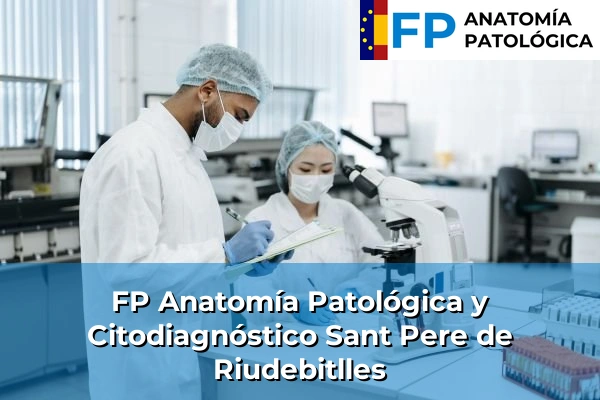 FP Anatomía Patológica y Citodiagnóstico en Barcelona 105 FP Anatomía Patológica y Citodiagnóstico en Sant Pere de Riudebitlles