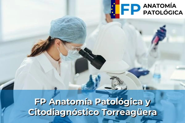 FP Anatomía Patológica y Citodiagnóstico en Murcia 77 FP Anatomía Patológica y Citodiagnóstico en Torreagüera