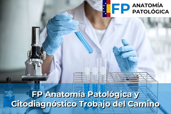 FP Anatomía Patológica y Citodiagnóstico en Trobajo del Camino